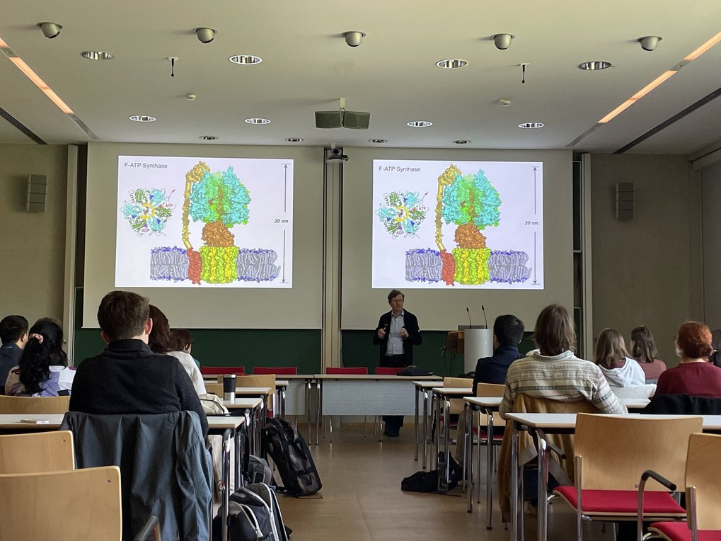 Students sitting in a seminar room and listening to a presentation