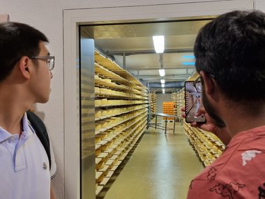 Two male students are looking through a square window into a brightly lit room with rows of yellow cheese wheels on wooden shelves.