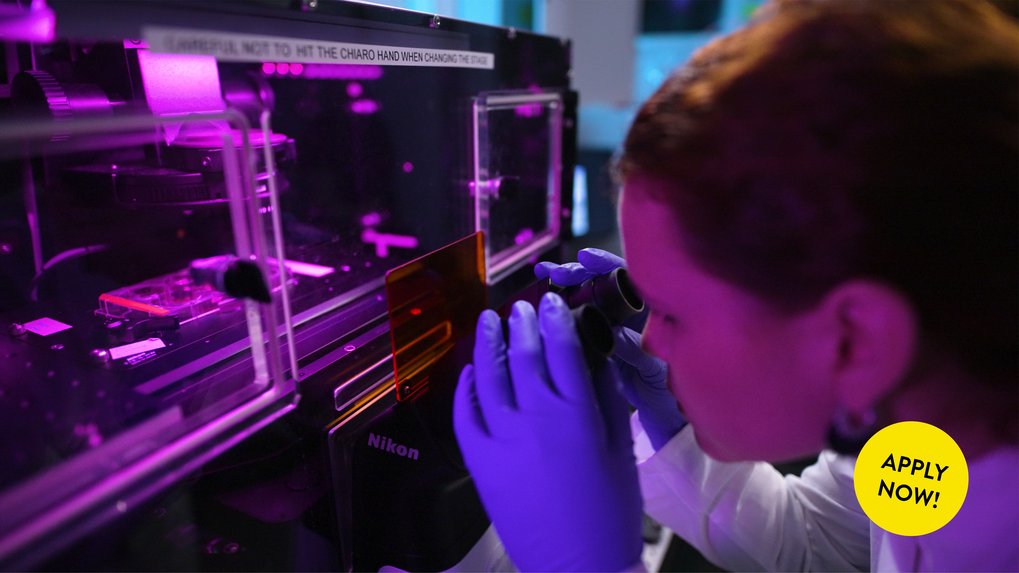 Student examining a sample under a microscope in a research lab – part of the Integrated MSc/PhD Program at the Max Planck School Matter to Life. In the lower right corner, there is a yellow button that says “Apply now.”
