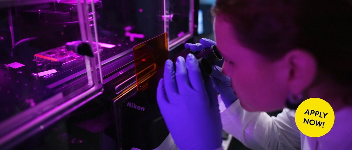 Student examining a sample under a microscope in a research lab – part of the Integrated MSc/PhD Program at the Max Planck School Matter to Life. In the lower right corner, there is a yellow button that says “Apply now.”