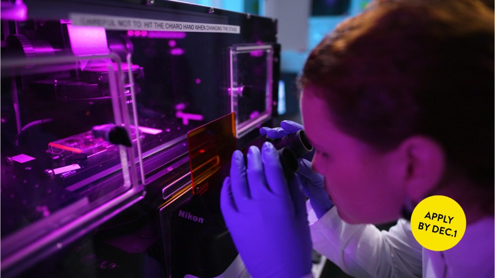 Studentin im Labor betrachtet eine Probe unter dem Mikroskop – Teil des Integrierten MSc/PHD Programms der Max Planck School Matter to Life. Im Eck rechts unten befindet sich ein gelber Button in dem „Apply by Dec. 1st“ steht.