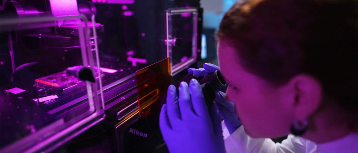 Student examining a sample under a microscope in a research lab – part of the Integrated MSc/PhD Program at the Max Planck School Matter to Life.