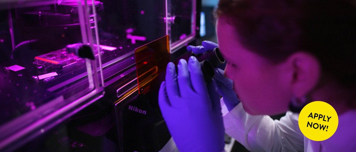 Student examining a sample under a microscope in a research lab – part of the Integrated MSc/PhD Program at the Max Planck School Matter to Life.