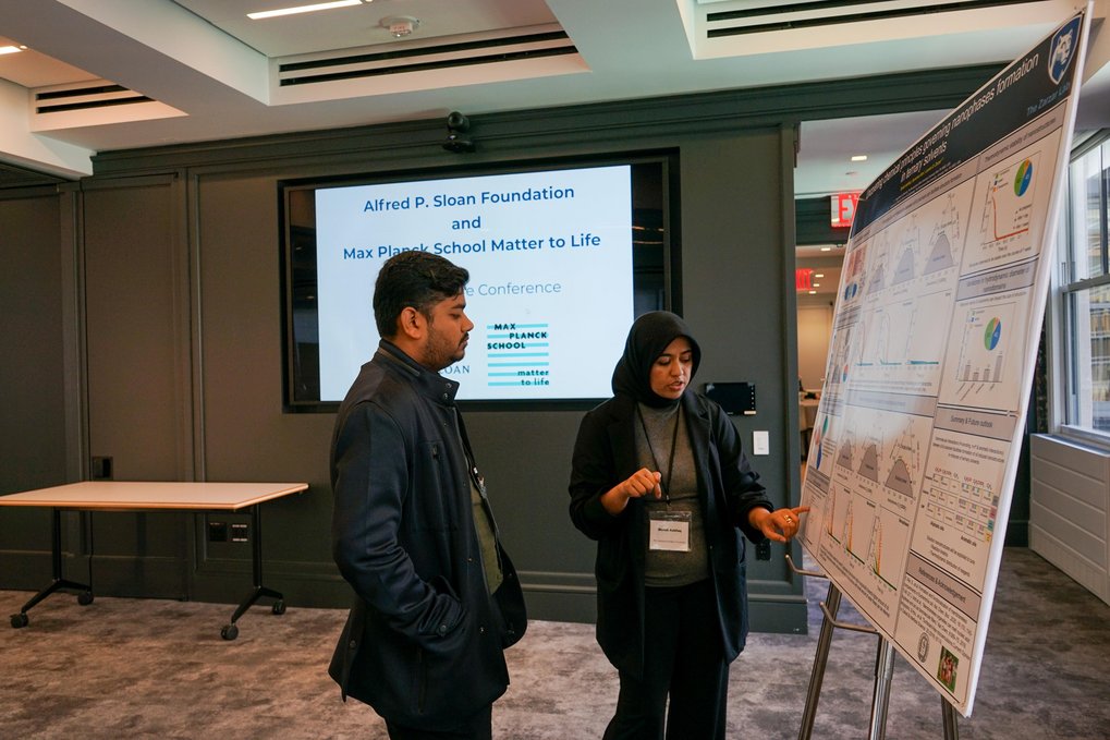 Two persons looking at a scientific poster, the woman is explaining something to the man.