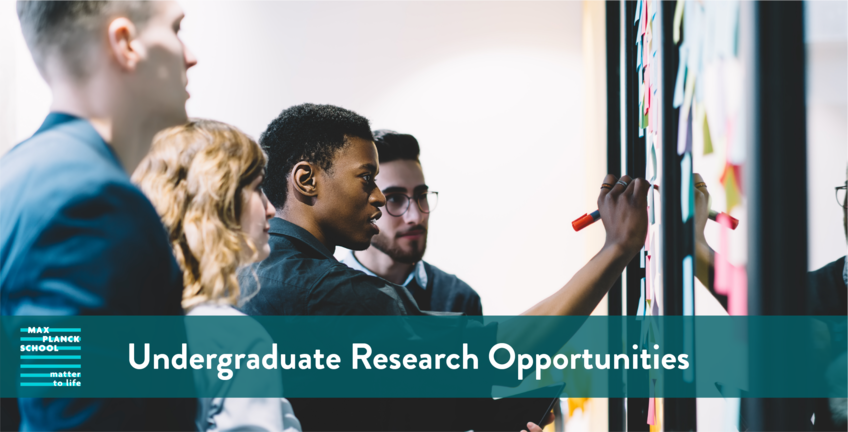 MtL Undergraduate Research Opportunities