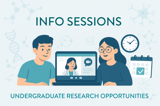 Illustration von zwei Studierenden, die an einem Schreibtisch sitzen und während einer virtuellen Besprechung eine Wissenschaftlerin auf einem Laptop-Bildschirm beobachten. Darüber steht „Info-Sessions“ und darunter „Forschungsmöglichkeiten für Studierende“. Der Hintergrund enthält Symbole wie DNA, Moleküle, Neuronen, eine Uhr und einen Kalender mit einem Häkchen.