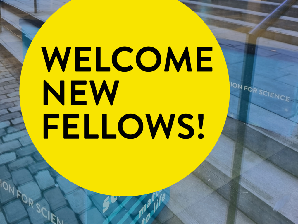 Large yellow circle with black text: Welcome new fellows! Background shows steps and glass panels.
