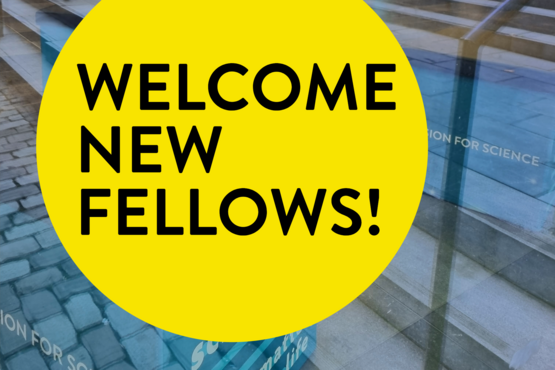 Großer gelber Kreis mit schwarzem Text: Welcome new Fellows! Im Hintergrund sind Stufen und Glasplatten zu sehen.