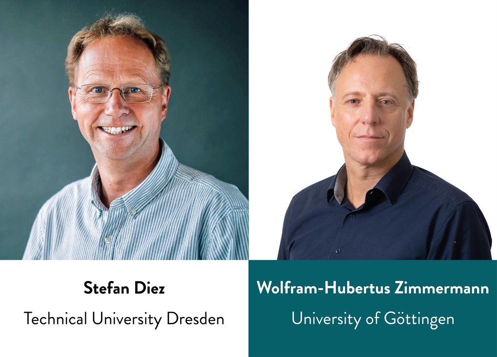Two individuals: Stefan Diez, affiliated with the Technical University Dresden, and Wolfram-Hubertus Zimmermann from the University of Göttingen.